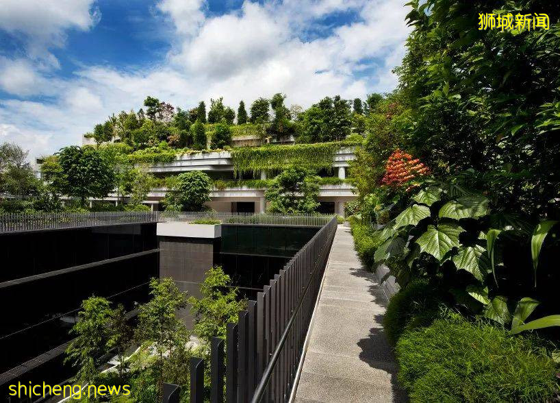 新加坡頂級設計，都在這裏