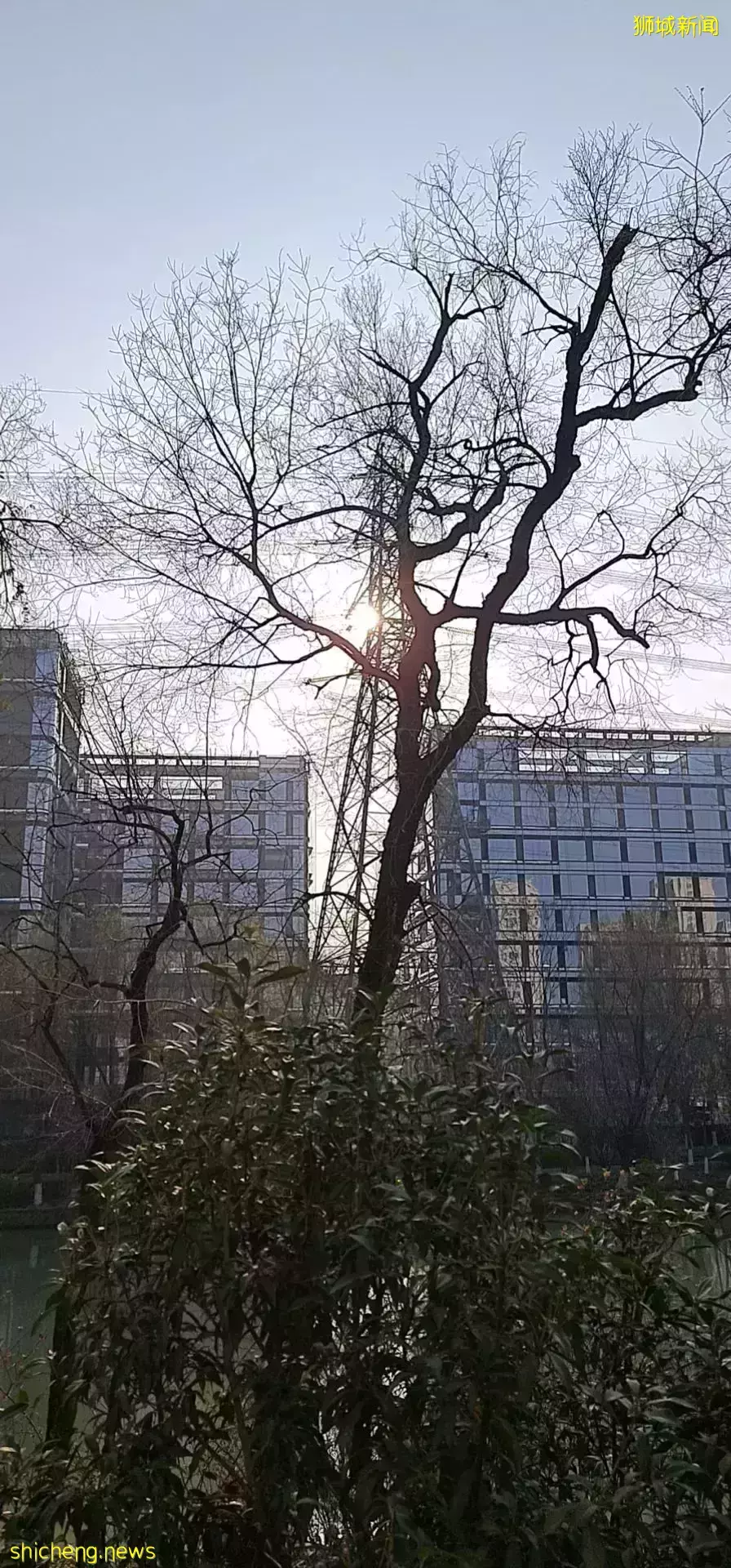 “这个春节,我终于从新加坡回到了中国”