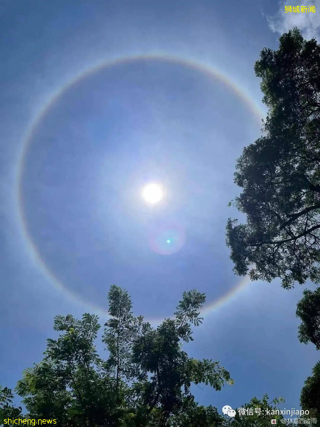 罕见!新加坡出现日晕,祥瑞之兆
