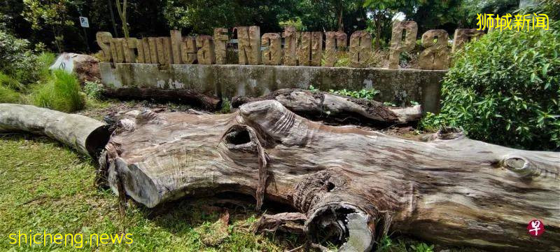 義順組屋新鎮有今天的發展規模，故事得從這個與實裏達河共生並存的春葉自然公園說起