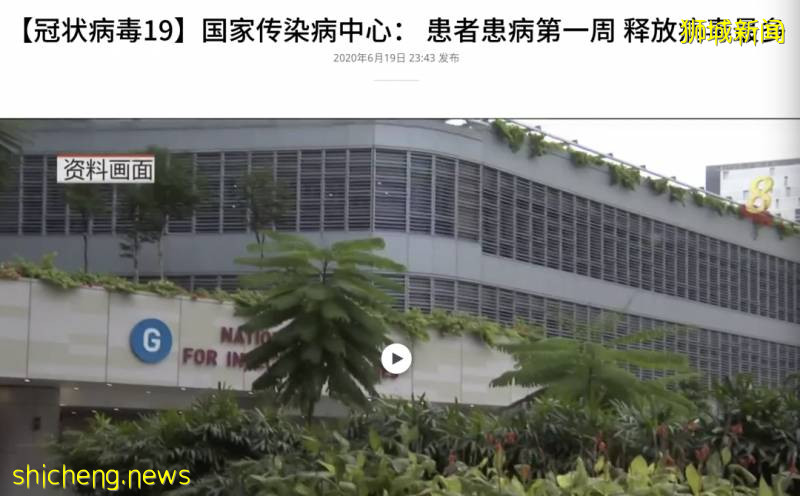 新加坡解封首個周末,22起交通事故!野雞闖入地鐵站!已經忘了怎麽出門!