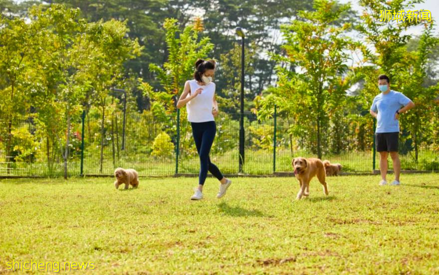 坡島9月活動速遞!冰激淩博物館!Epigram快閃書店!美食節回歸,一起嘗遍本地美食