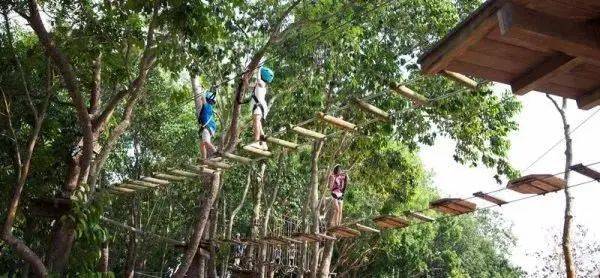 新加坡周末探险游戏:专为喜欢惊险刺激的你特意准备