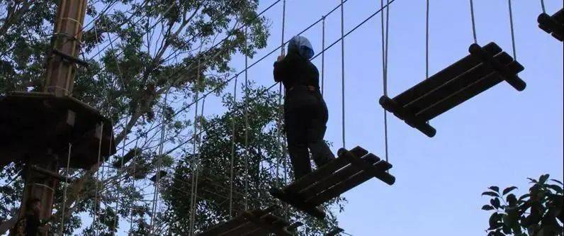 新加坡周末探险游戏:专为喜欢惊险刺激的你特意准备