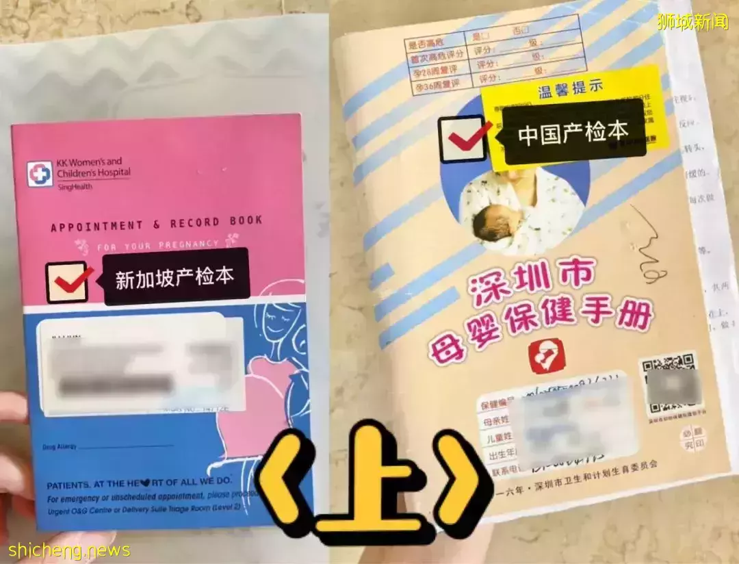 中國生娃 VS 新加坡生娃，媽媽親曆大對比！你覺得在哪生更好