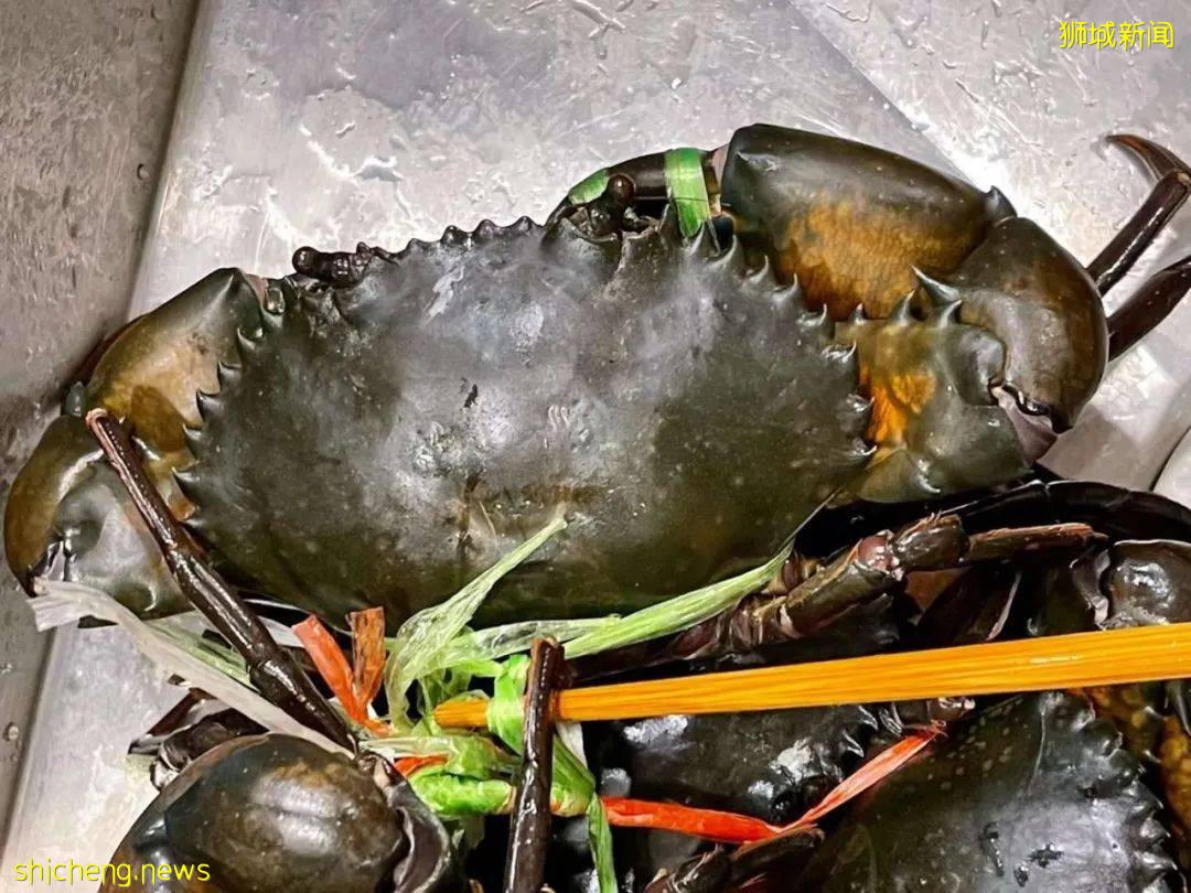 中國媽媽在普吉島陪讀，快樂教育、生活恣意，她爲什麽還要轉戰新加坡