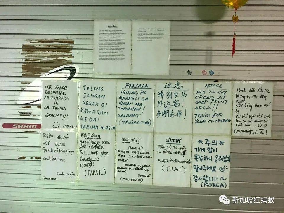 比谷歌翻译还厉害! 狮城这家店张贴11种语言的防疫告示,你看懂几种