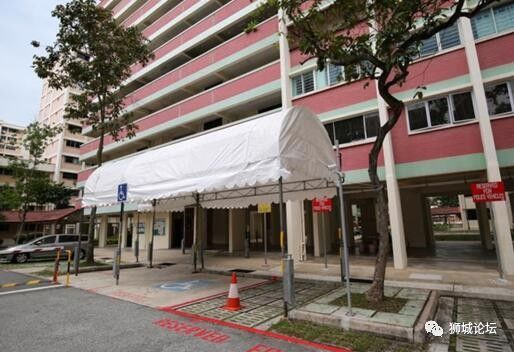昨晚，新加坡总统哈莉玛决定搬出组屋