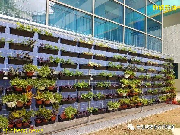 【新加坡探校系列中學篇（16）】美雅中學 Admiralty Secondary School