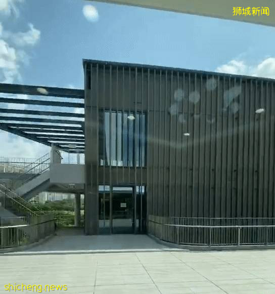 送票!新加坡最大室內遊樂場,居然在東部打造了一個“森林之家”,孩子的最愛