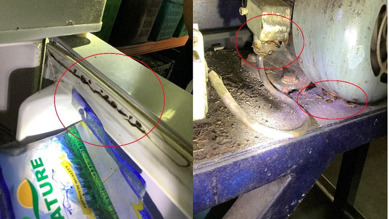 未保持环境清洁 本地一食品加工企业被罚3000元