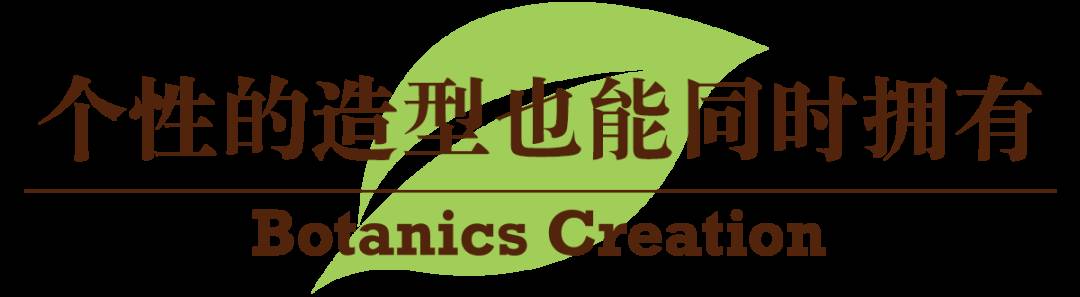 獅城這些“禿”如其來的煩惱,讓它幫你解決