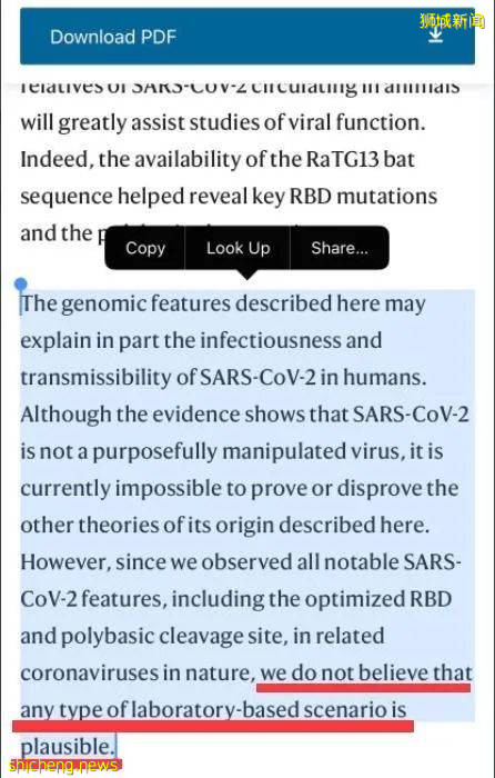新加坡這人因大罵“中國人帶來冠病”被判刑