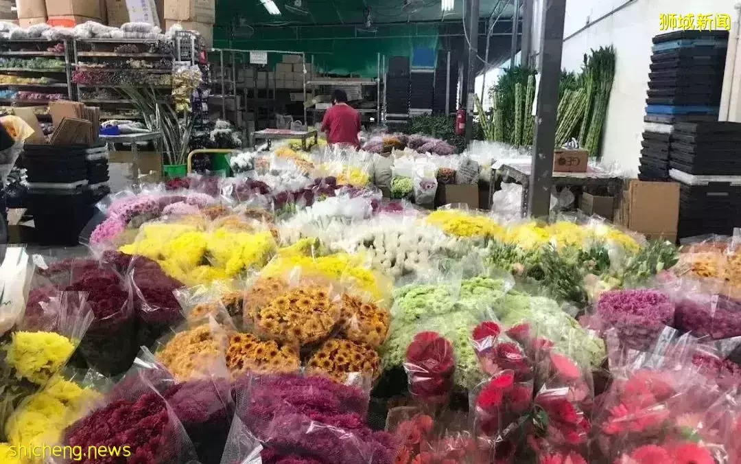 鮮花在熱帶也能養1個月？資深花友新加坡買花、養護大揭秘