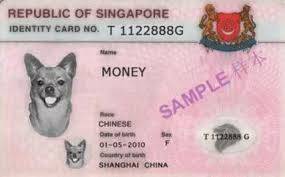 不知道這些,千萬別在新加坡養動物!