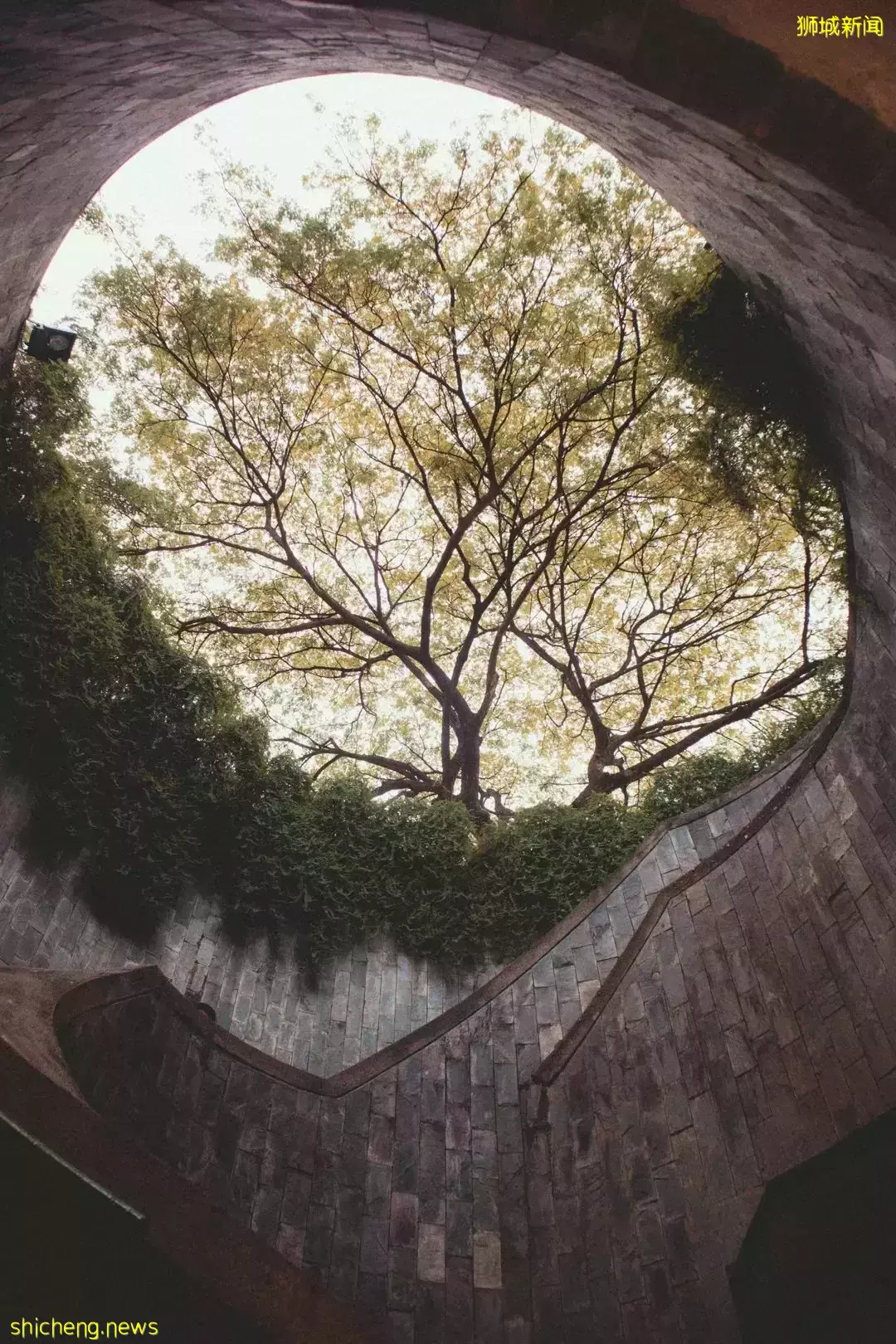 遊玩推薦 新加坡這些打卡聖地您去過幾個