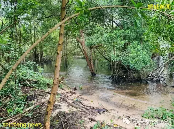 一日游好去处!新加坡的这个小岛你去过吗