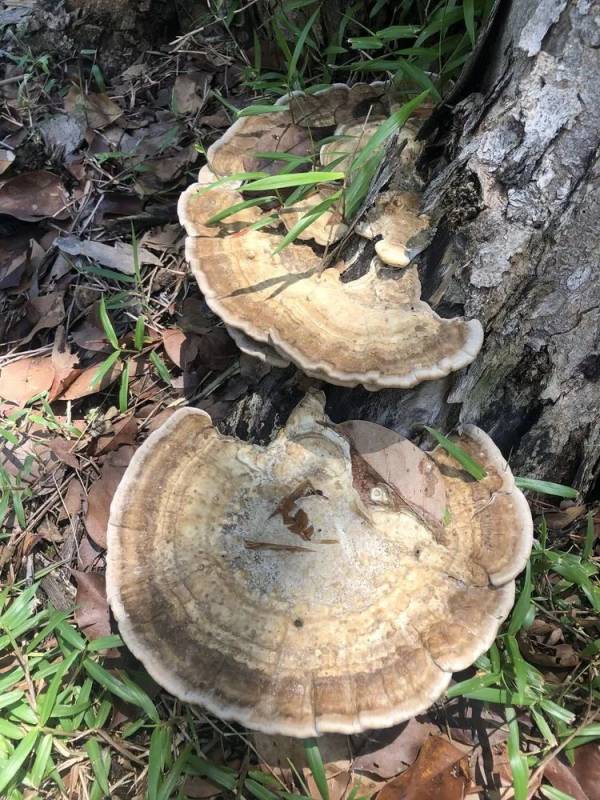 精彩国内游:新加坡南部岛屿休闲之旅