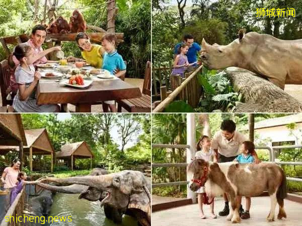 35個最受歡迎新加坡好去處