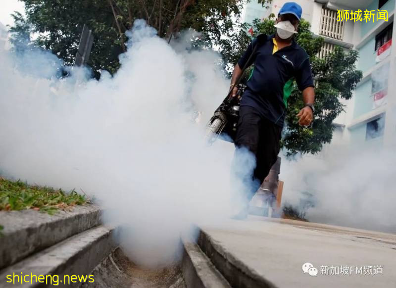 警惕! 新加坡登革热本月增4起死亡病例,病例总数超过1万3千起