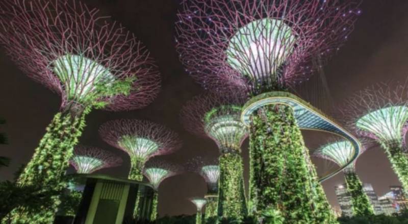 假如最后一天在新加坡