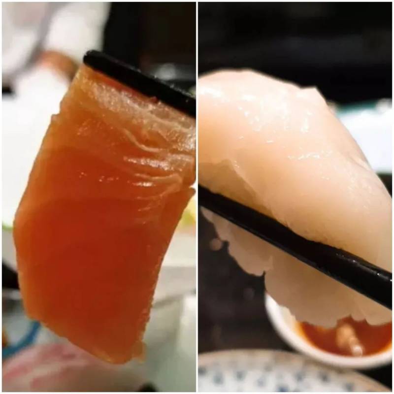 Shima滿足所有對日式料理的欲望