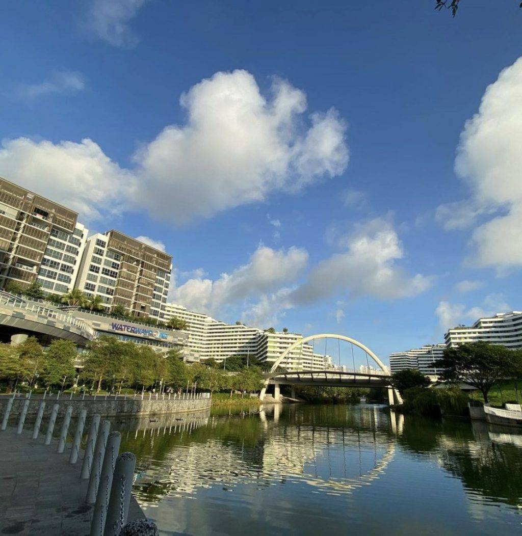 最适合拍照打卡的海边徒步路线安利!超美网红桥、丰富娱乐设施、超清凉的滨水路线🆒