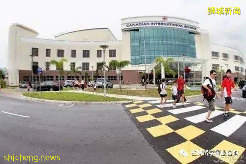 新加坡加拿大國際學校,承包了國際IB課程和王牌雙語項目
