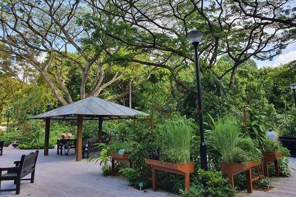 2020新加坡15大室内外热门景点!几乎零花费就能玩到嗨