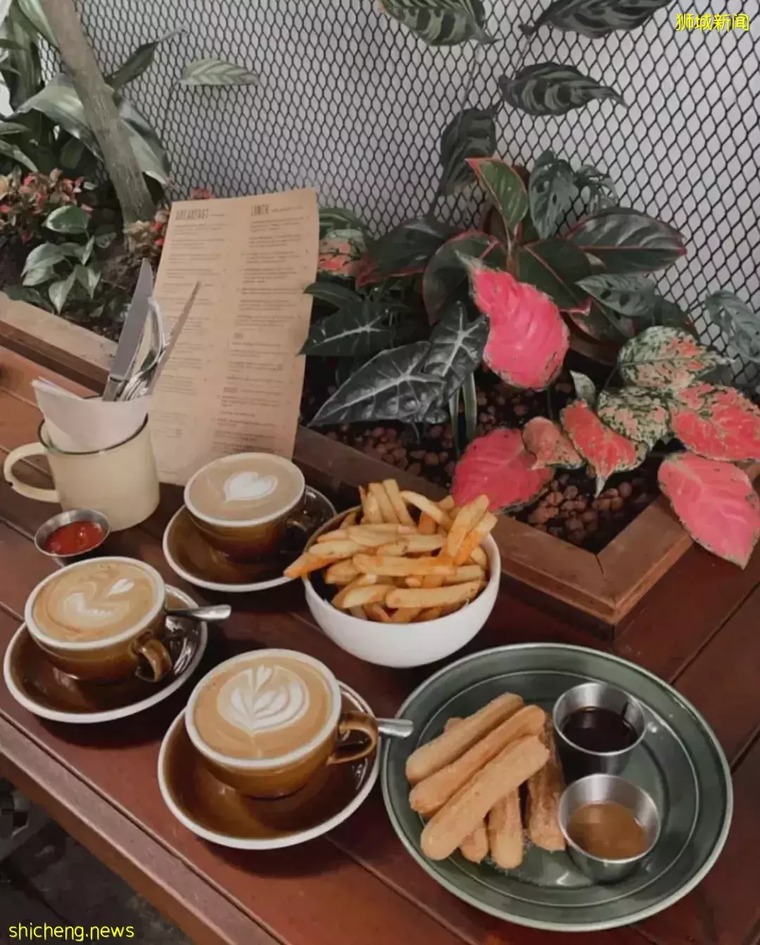 狮城の澳洲风情咖啡馆有哪些？一起来开启澳式慵懒午后吧