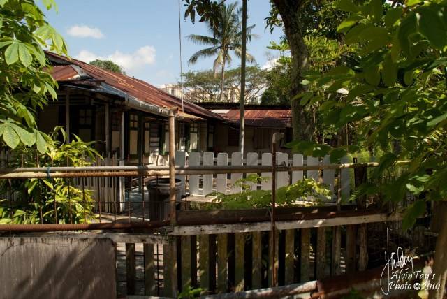 新加坡本島最後一個Kampung，一個26戶村民組成的小村子，就在Buangkok，你知道嗎