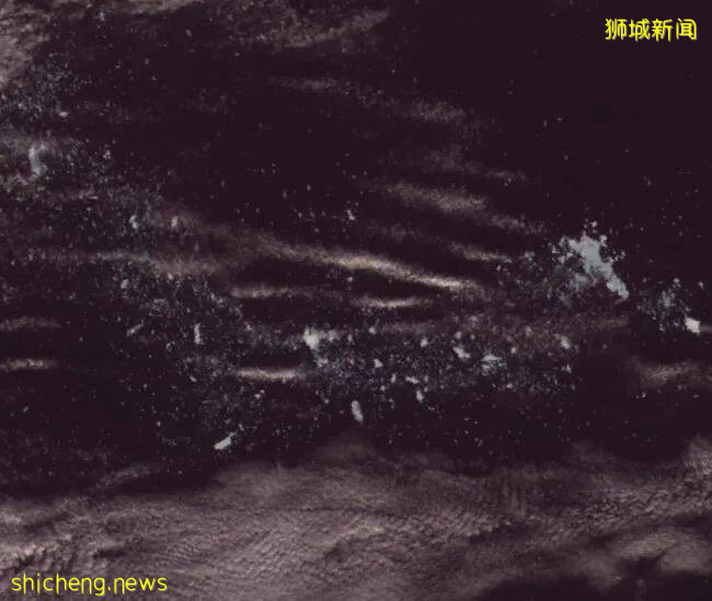 世界最大冰山要消失了?新加坡慌了!砸1000億自救