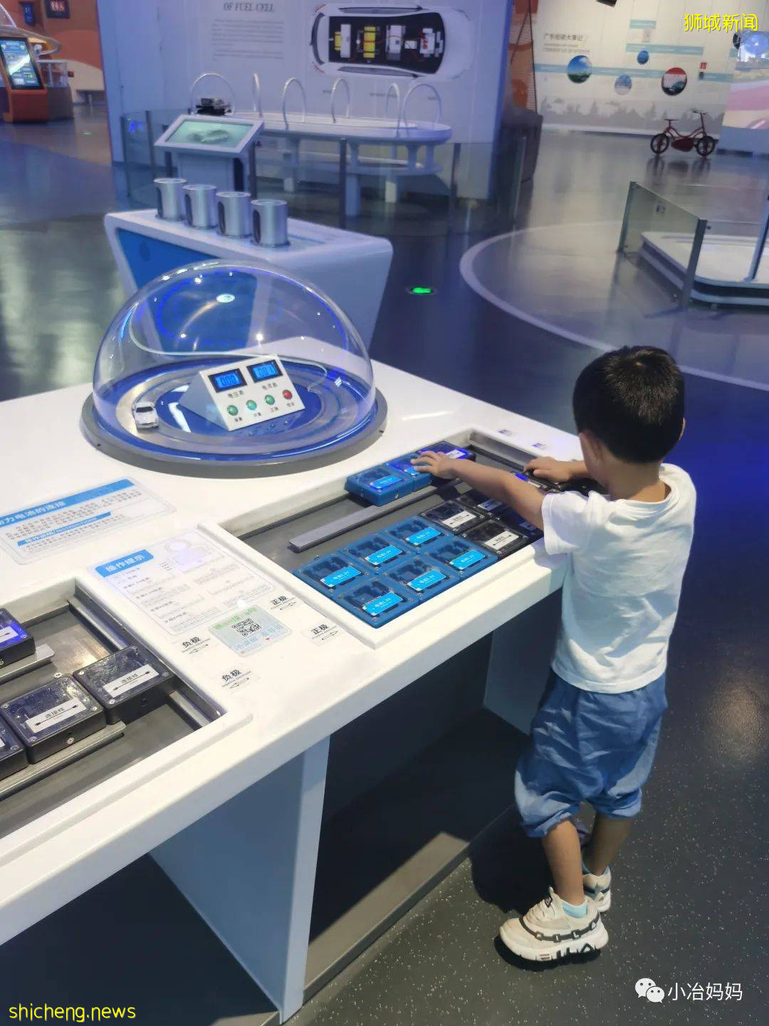 結束11年新加坡的生活!我懷孕帶著5歲的娃回了中國又移民澳洲!這瘋狂又神奇的旅程