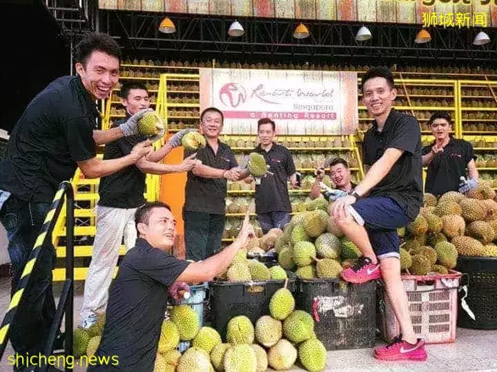 因爲減産,都漲價了!新加坡最火的11種榴梿價格表出爐
