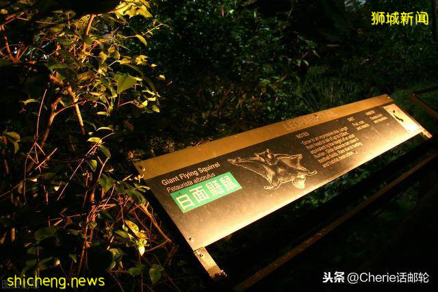 新加坡旅遊3天就夠?看完這篇最全攻略,你還這樣認爲嗎!