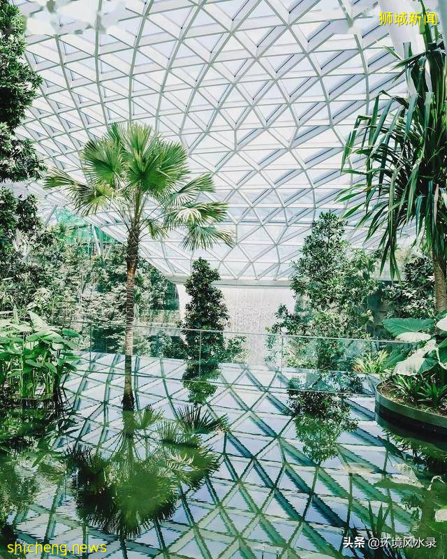 欣賞（新加坡機場）景觀最新創意，還以爲走進了大自然。牛!