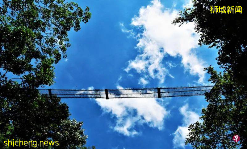 当年,郁达夫和徐悲鸿都在此处品尝味道类近荔枝的红毛丹,还双双留诗;一文了解新加坡汤申自然公园最具备文化内涵的地段