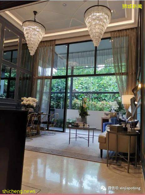 發生了什麽？新加坡阻斷期間大筆資金流入!