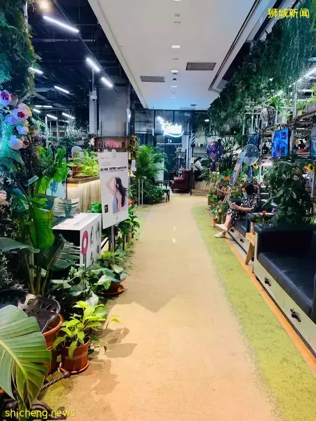 吃遍新加坡 第43期:藝術感十足的小資Café