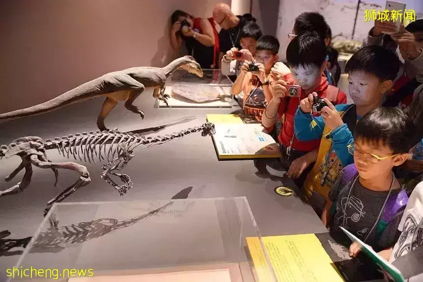 杨东平:新加坡教改——取消中学分流,人才保底不封顶