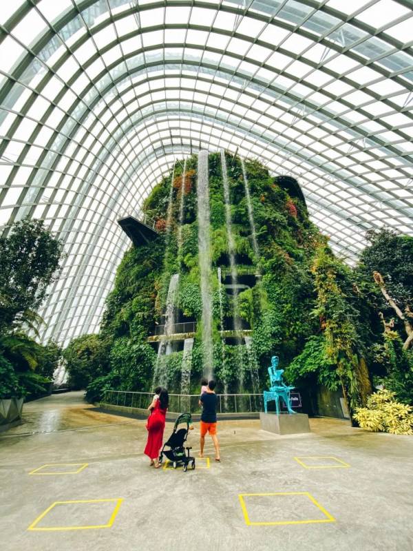 你有一份来自新加坡的安心指南,请查收