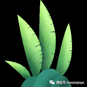 小心!室内装修后的这些问题会影响你的健康…