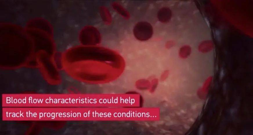 NTU、MIT与布朗大学三校合作