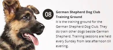 經營20年的新加坡“動物度假村”宣布結業，明年1月10日爲最後營業日期