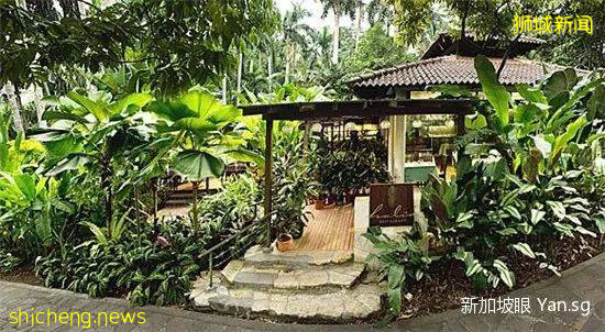 誰說新加坡沒有愛情?這10個地方,情侶一定要去