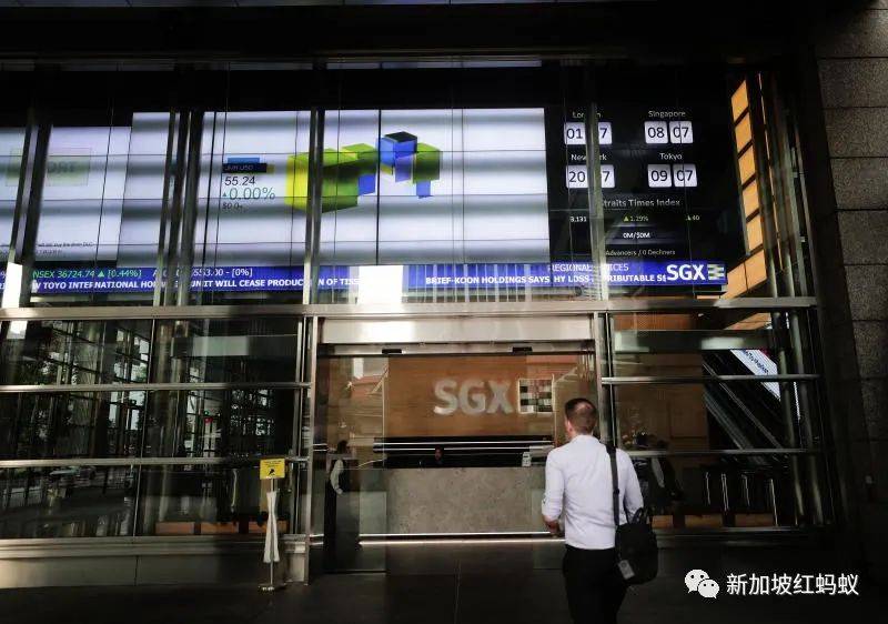 疫情期間越來越多Z世代迷上炒股 12歲男生投資近3萬新元賺回42%