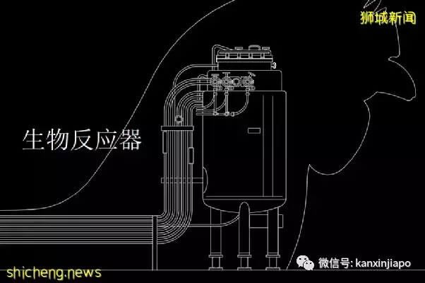 美国投资新加坡建亚洲最大培植鸡肉工厂，下一步计划进军中国