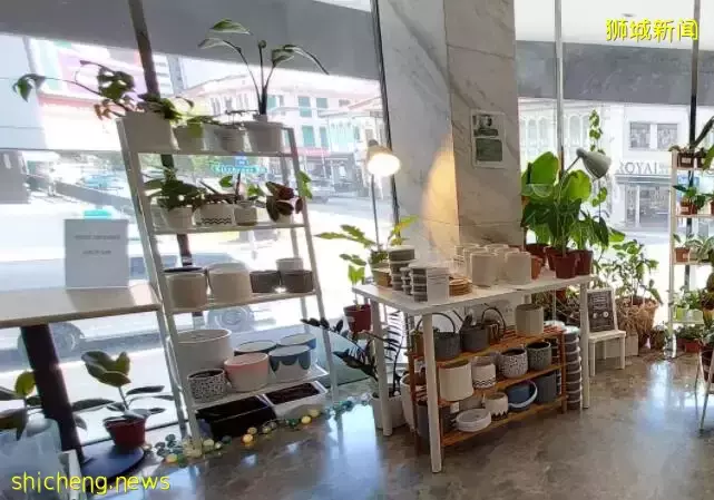 新加坡诞生首家“植物旅馆”？网友兴叹：赚钱的花样实在是太多啦