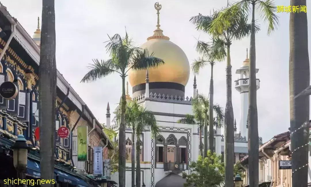 游狮城前,先看这一篇