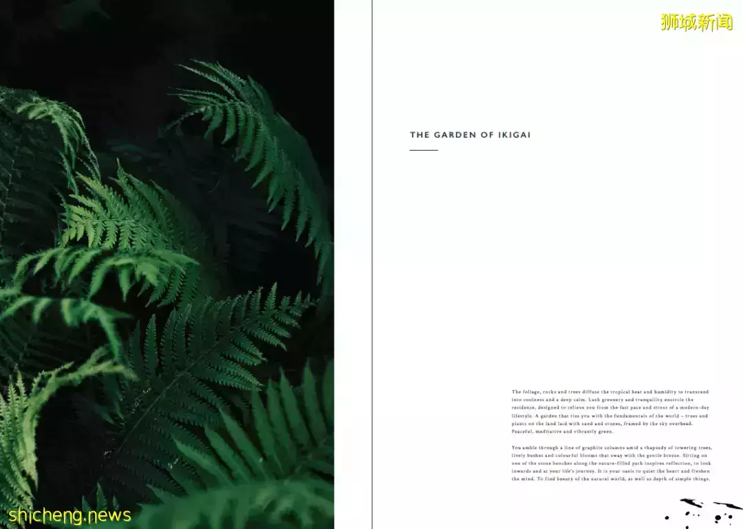 新加坡IKIGAI【D11核心区 享永久地契 奢华日式公寓】